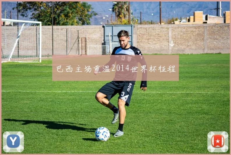 巴西主场重温2014世界杯征程