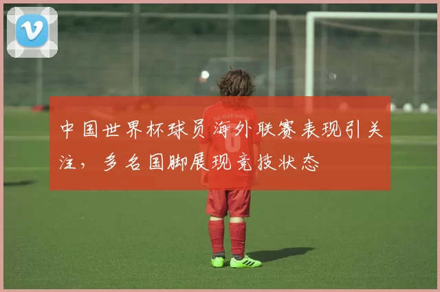 中国世界杯球员海外联赛表现引关注，多名国脚展现竞技状态