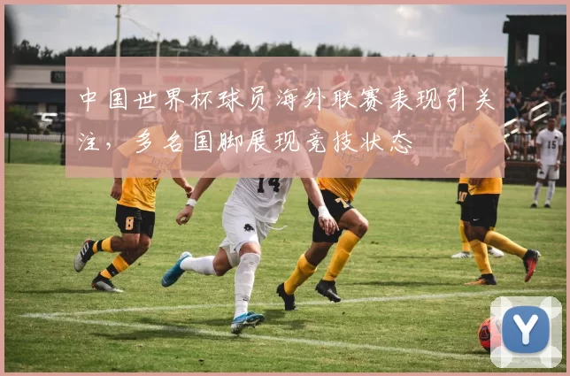 中国世界杯球员海外联赛表现引关注，多名国脚展现竞技状态